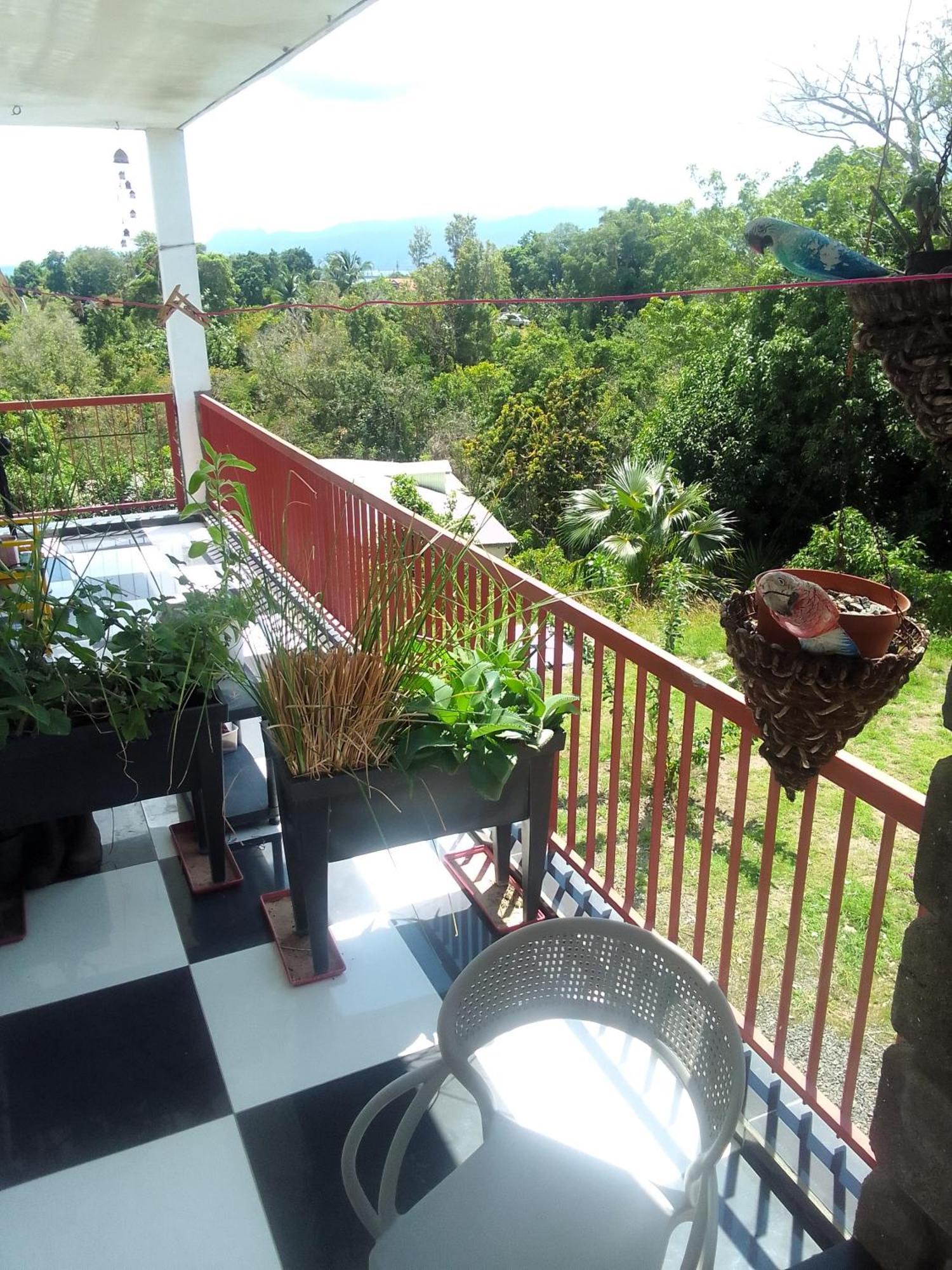 Chambre Avec Cuisine Et Sdb Semi-Privatives Separees Dans Un Ecrin De Verdure เลส์อาบิมส์ ภายนอก รูปภาพ